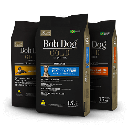 Bob Dog Gold Filhotes